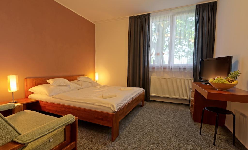Penzion Jelinek Opočno 部屋 写真